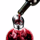 Elegance Wine Decanter