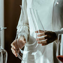 Wine decanter - Luxury